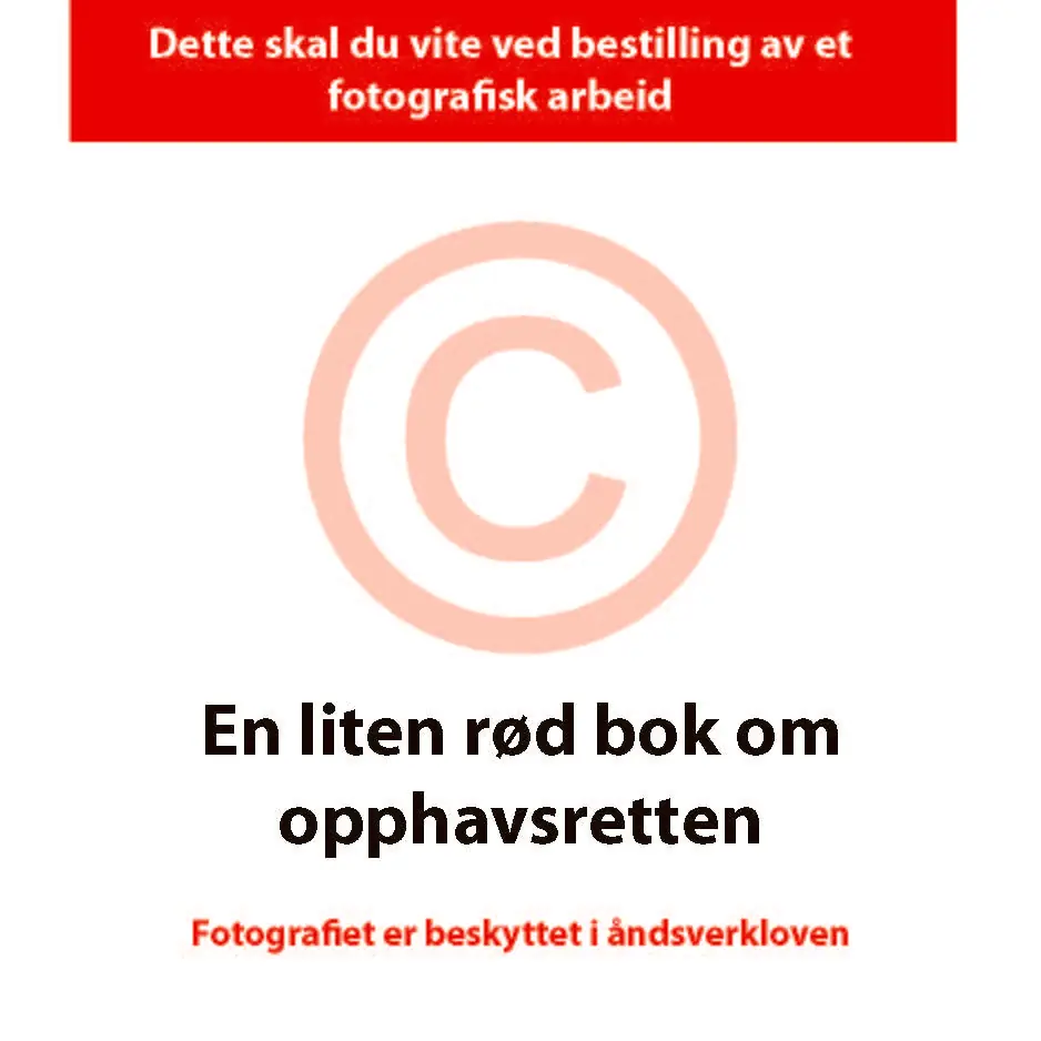 Lille rød bok om opphavsretten - Foto-norge